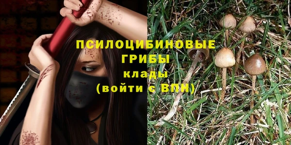прущие крисы Ростов