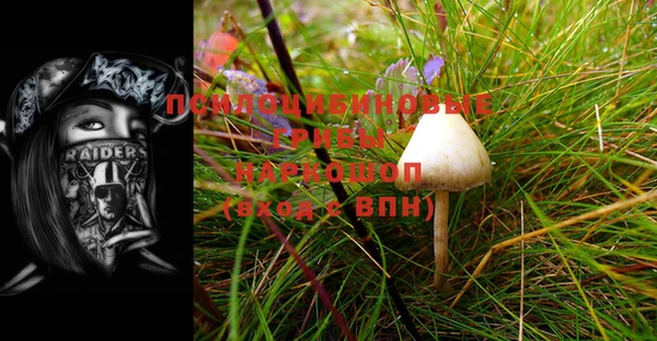apvp Балахна