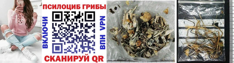МЕГА как войти  Белёв  Псилоцибиновые грибы мицелий 