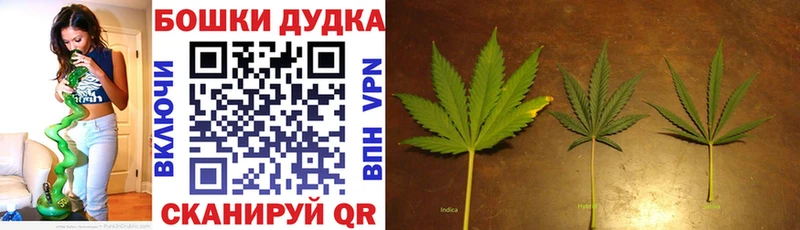 darknet Telegram  где купить   Белёв  МАРИХУАНА сатива 